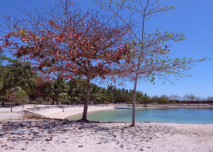Cordova Reef Village 4*